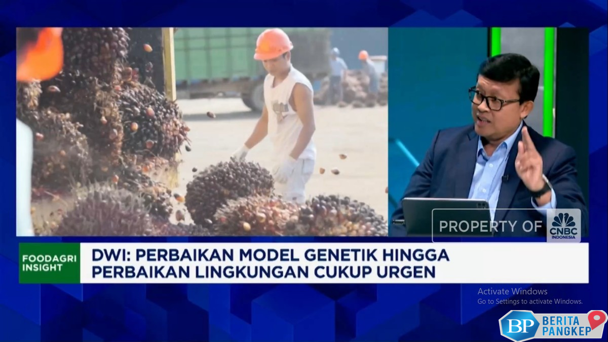 video-ada-200-produk-hilirisasi-sawit-yakin-ri-sanggup-kembangkan