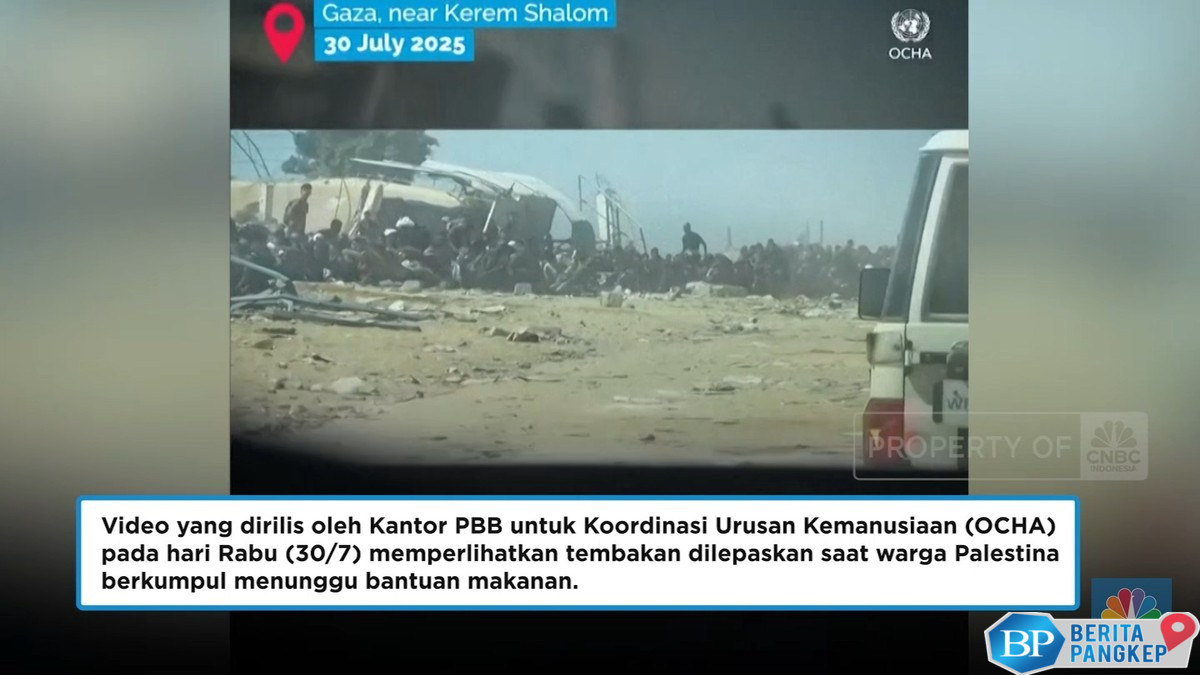 video-pbb-ini-jadi-saksi-penembakan-warga-gaza-saat-antre-bantuan