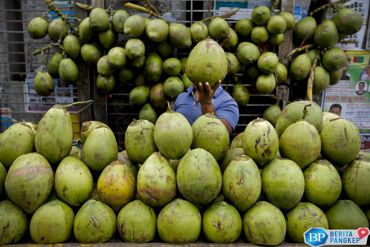 waktu-terbaik-minum-air-kelapa-jangan-sembarangan